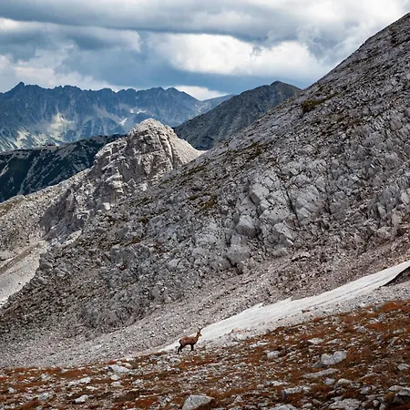 White сozy A Next To The Gondola