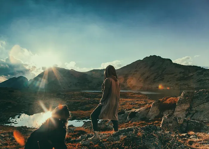 Appartement White сozy A Next To The Gondola Bansko