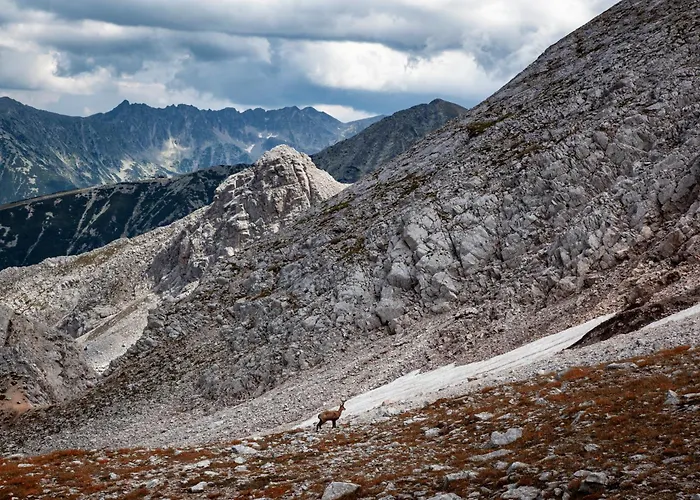 White сozy A Next To The Gondola